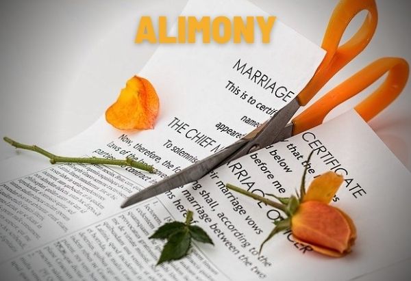 alimony-support